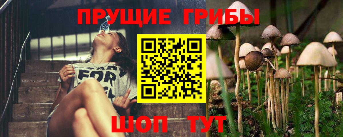 Еманжелинск  Псилоцибиновые грибы ЛСД  как найти закладки  Вход с VPN 